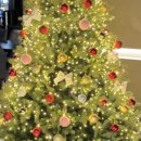 무드무드 이미지