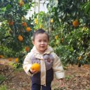 내혜홀농장 이미지