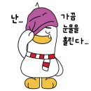 스테이 클래시 이미지