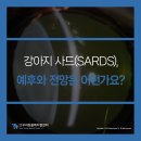 우리동물메디컬센터 이미지