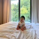양평 리조트 더스타휴빌리지 리조트 스위트룸 숙박후기 (주변맛집)