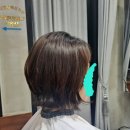 대구 수성구 지산동 미용실 단발레이어드컷 / 단발허쉬컷 / 중년단발컷 / 살롱드메이페어 다녀온 후기!