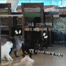 렌즈미(노원점) 이미지