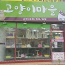 고양이마을 | 전라남도 영암군 고양이마을, 영업시간, 후기, 연락처