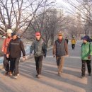 분당-281 이미지