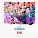 문화가 숨 쉬는 빛의 숲 < ACC 아트 트레일러 > | 경주 제2동궁원 라원 개장 미디어아트 입장료 할인 주차장 정보