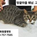 해남동물병원 이미지