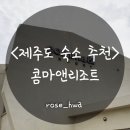 사계초등학교 | Resort)_산방산 근처에 전 객실 프리미엄 잭슨스파가 있는 &#39;콤마앤리조트&#39; 스탠다드 더블A룸 솔직 후기!