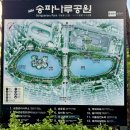 롯데월드타워와 함께 하는 석촌호수 서울 야경 명소