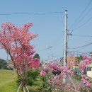 동홍별장 이미지