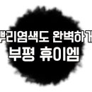롯테미용실