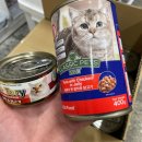 대천동물병원 이미지