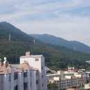 보성청록아파트 Daum카페