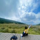 평원상회 이미지