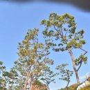 세븐일레븐 화성세자로점 | 용주사 화성 가볼만한곳 정조사도세자 입장료 주차