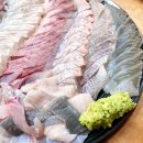 정동진회집식당 이미지