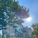 오션스카이 편의점 이미지