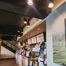 공차 부산송도점 이미지