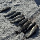 River52road 이미지