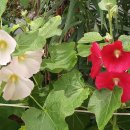 한강메디칼코리아 이미지