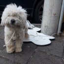 무선6길 이미지