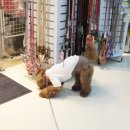 폴리파크 역삼점 이미지