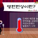 힐스템 이미지
