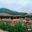 해금(수요) 이미지