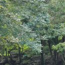 하늘아래펜션 이미지