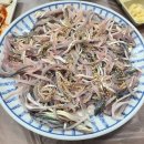 [해운대] 왔다도매횟집 | 좌동재래시장 횟집
