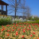 기운농장 이미지