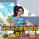 새싹슈퍼 | 새싹귀리분말 효능부터 먹는법, 부작용까지 완벽 가이드