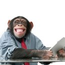 인터넷월드 이미지