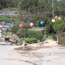 다복다복 이미지