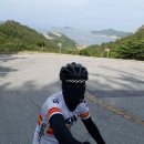 상라리 이미지