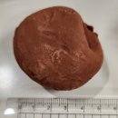 GS25 동탄르보아점 | 편의점 두쫀쿠 GS 두바이쫀득초코볼 솔직 후기 / 예약 방법, 맛 비교