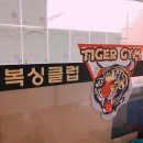 타이거짐복싱클럽 이미지