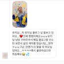 카츠스테이 이미지