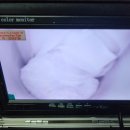 이박사쭈꾸미 이미지