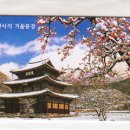 D00195 네이버블로그