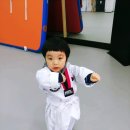 용인대 청목 mta 태권도 이미지