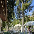 26년 4월14일 9월5일. 루마니아 슬로베니아 불가리아 세르비아 크로아티아 16일 이미지