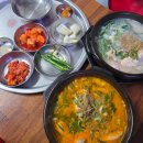 진국밥 | 창원 팔포집 내동 본점 담백 얼큰 닭한마리국밥 후기
