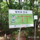 골짜기과일 이미지