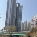 바람공원 | 🏃‍♂️ 천안 미르공원 10km 완주! 봄바람 맞으며 달린 IRUN 인증런 후기