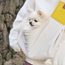 펫클라우드 | 다니펫 애견소파 침대 강아지 사용 후기