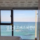 돌고래 펜션 | 사천해변 강릉 돌고래 스파 펜션 후기, 전객실 오션뷰(내돈내산)
