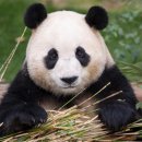 광주광역시 우치동물원 동물병원 이미지