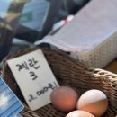 정은야채 이미지