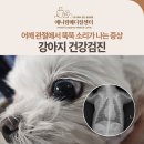 첨단사랑동물병원 | 어깨 관절에서 뚝뚝 소리가 나던 강아지의 건강검진 후기, 동물병원 건강검진 안내, 애니컴메디컬센터